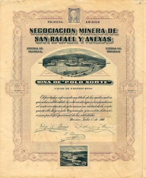 Negociacion Minera De San Rafael Y Anexas